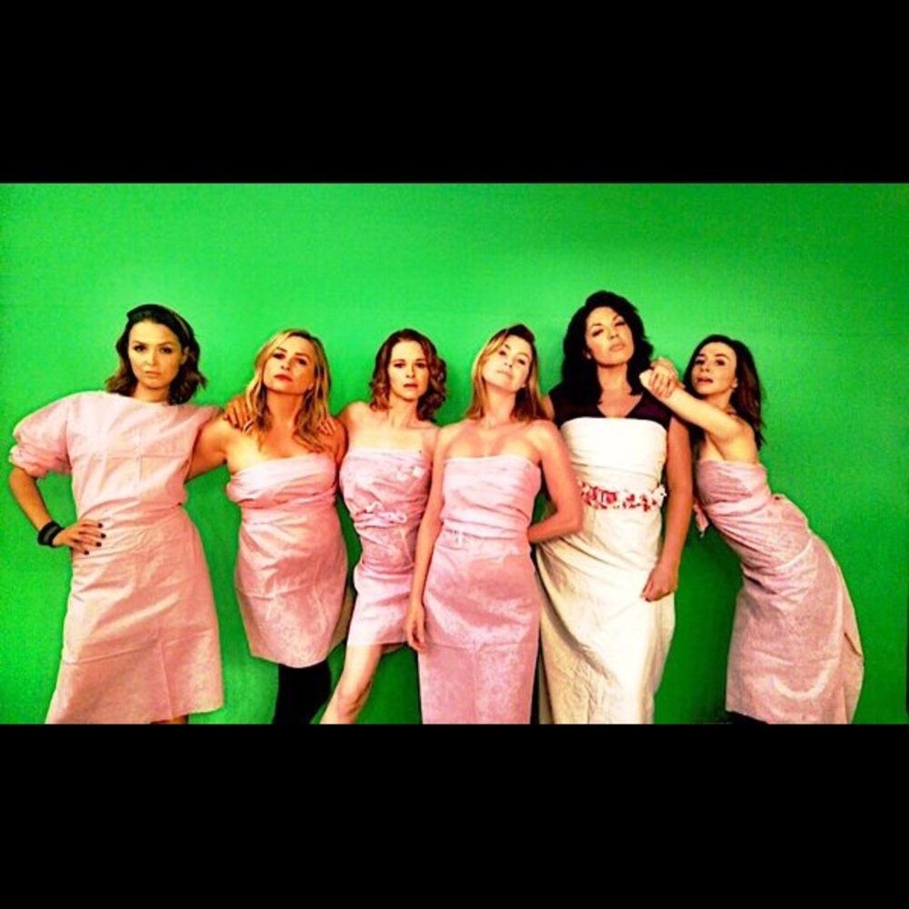 Meet your Posher, Bee